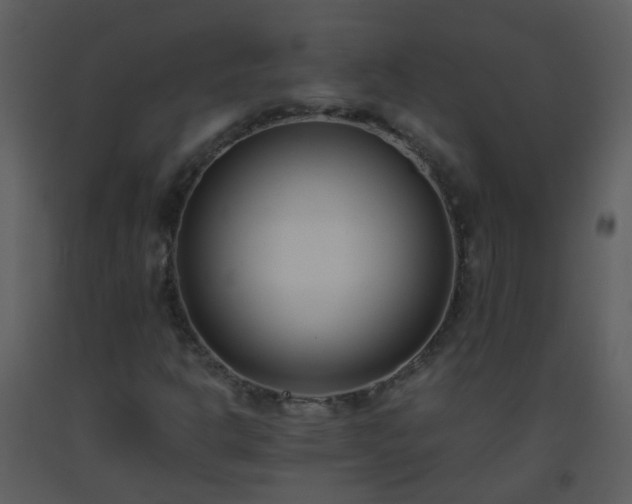 X0000093571302200710221435