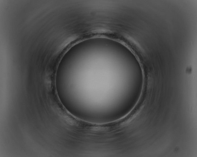 X0000093571305200710221435
