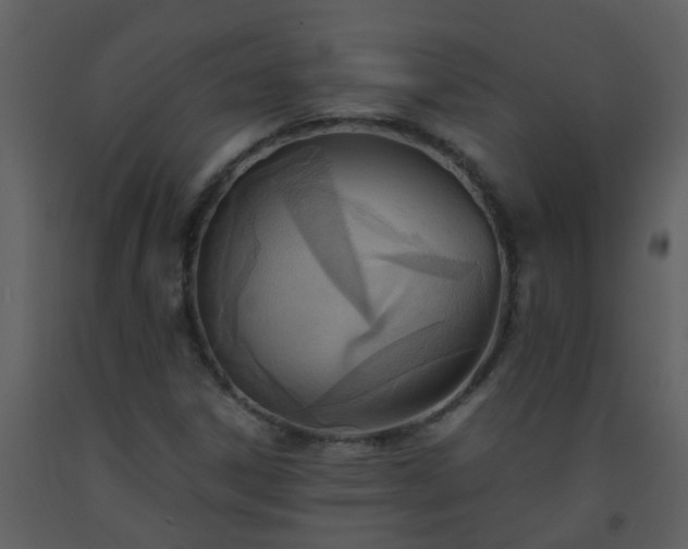 X0000093571306200710221435
