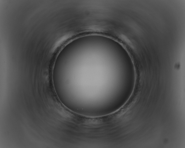 X0000093571307200710221435