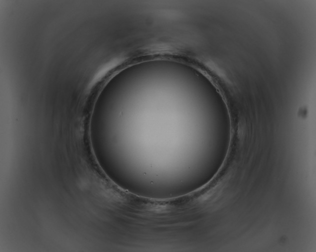 X0000093571309200710221435