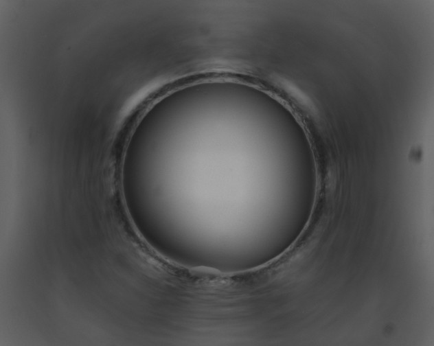 X0000093571310200710221435