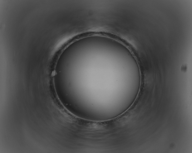 X0000093571311200710221435