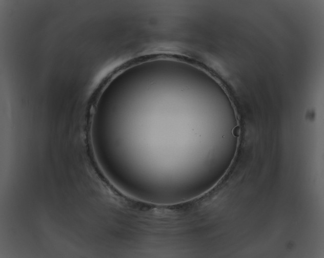 X0000093571312200710221435