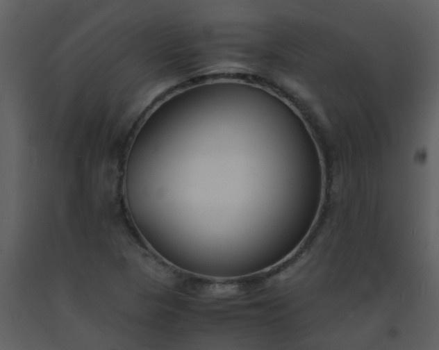 X0000093571313200710221435