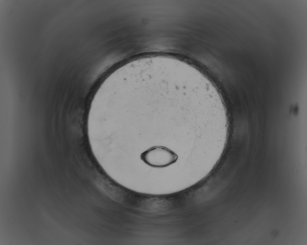 X0000093571314200710221435