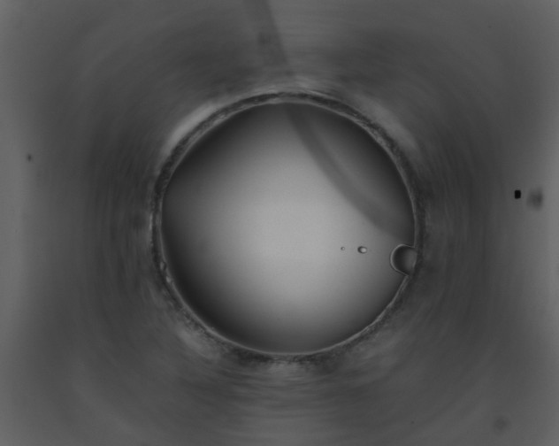X0000093571316200710221435