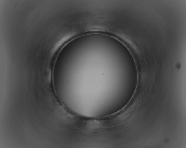 X0000093571317200710221435