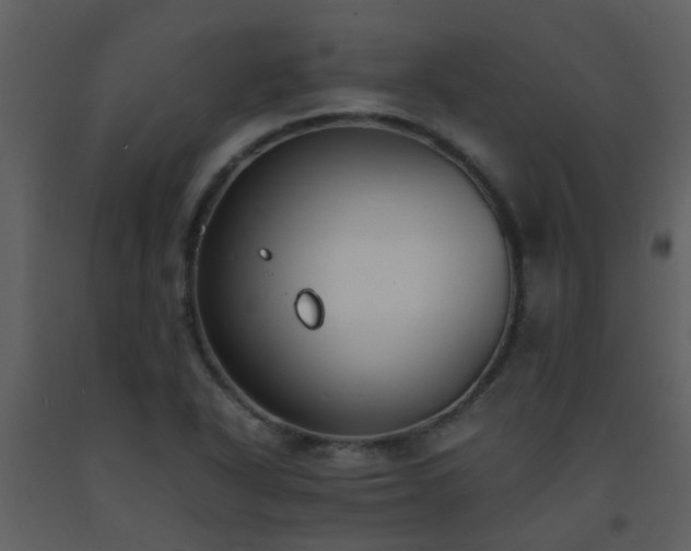 X0000093571318200710221435