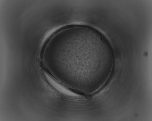 X0000093571319200710221435