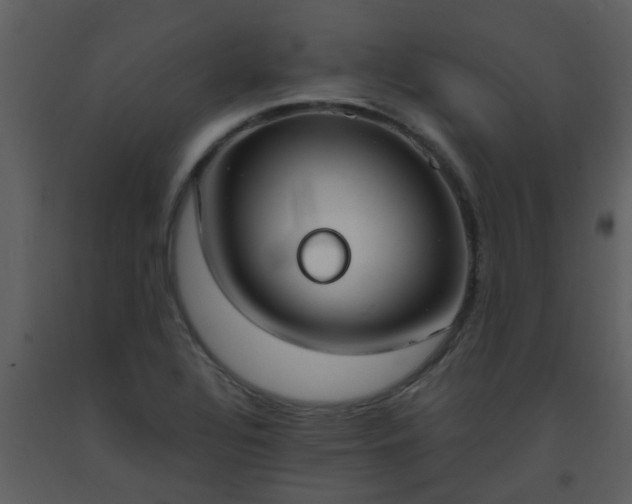 X0000093571320200710221435