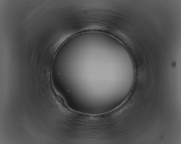 X0000093571321200710221435