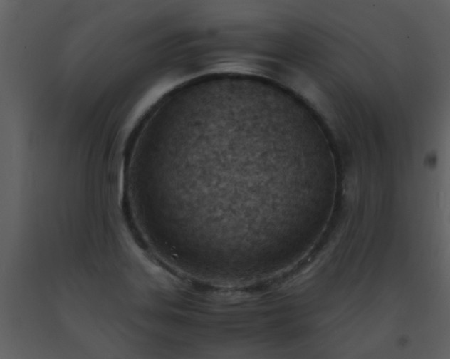 X0000093571323200710221435