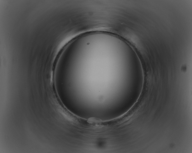 X0000093571324200710221435
