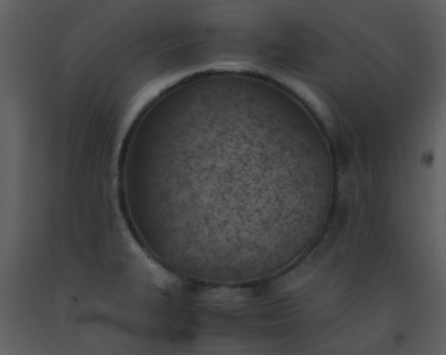 X0000093571327200710221435
