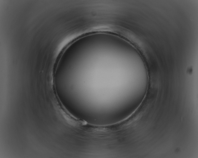 X0000093571328200710221435
