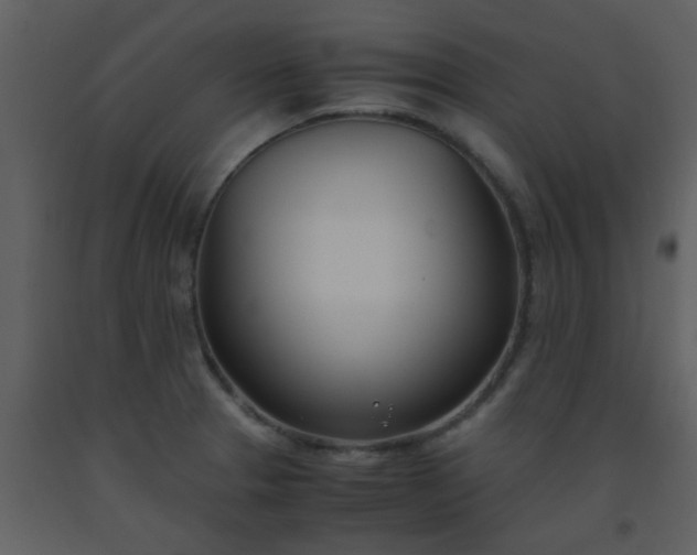 X0000093571329200710221435