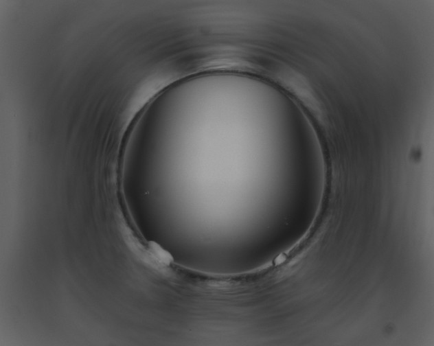 X0000093571330200710221435