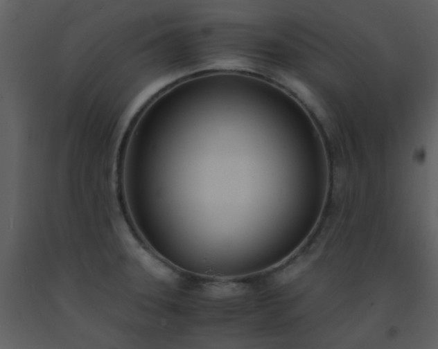 X0000093571331200710221435