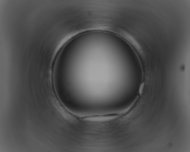 X0000093571332200710221435