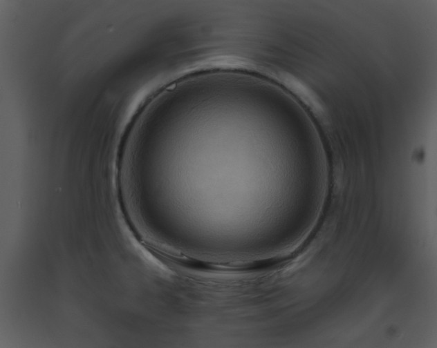 X0000093571334200710221435