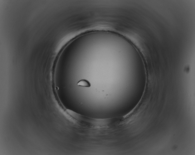 X0000093571335200710221435