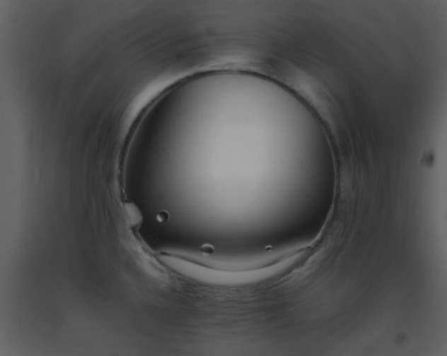 X0000093571336200710221435