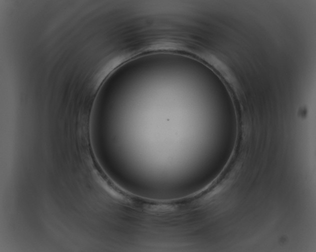 X0000093571337200710221435
