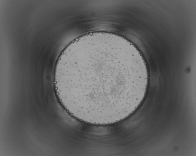 X0000093571338200710221435