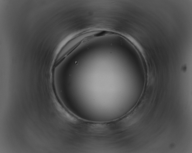 X0000093571341200710221435