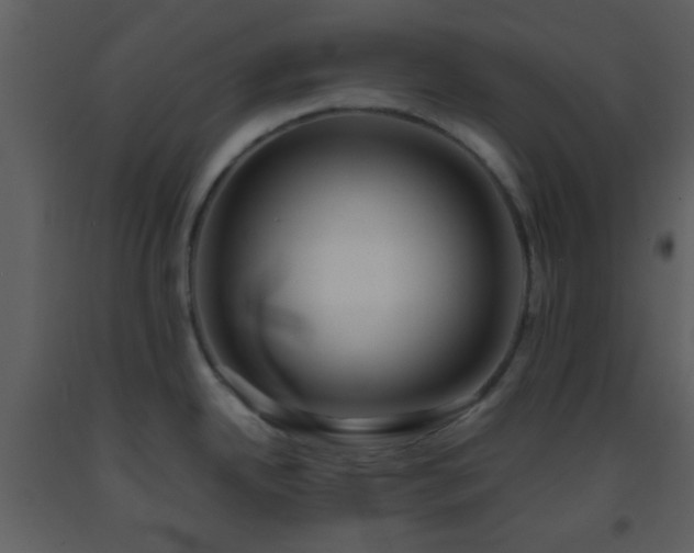 X0000093571342200710221435