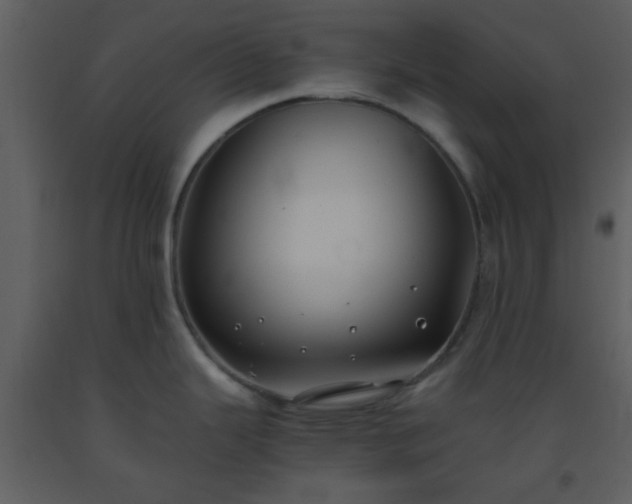 X0000093571343200710221435