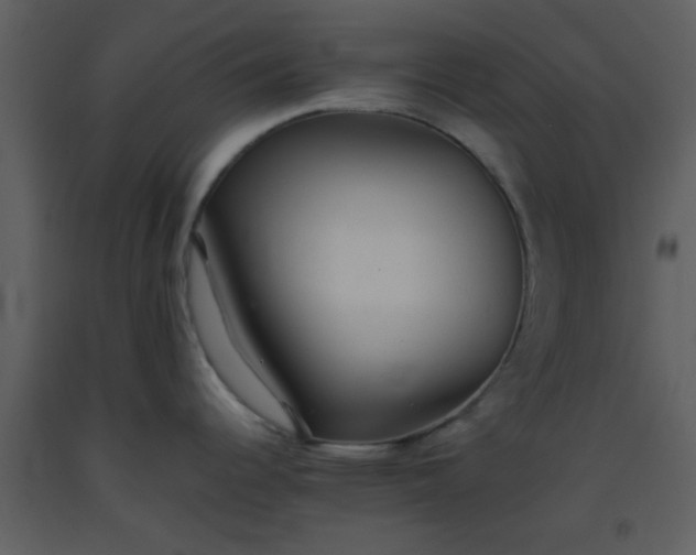 X0000093571344200710221435