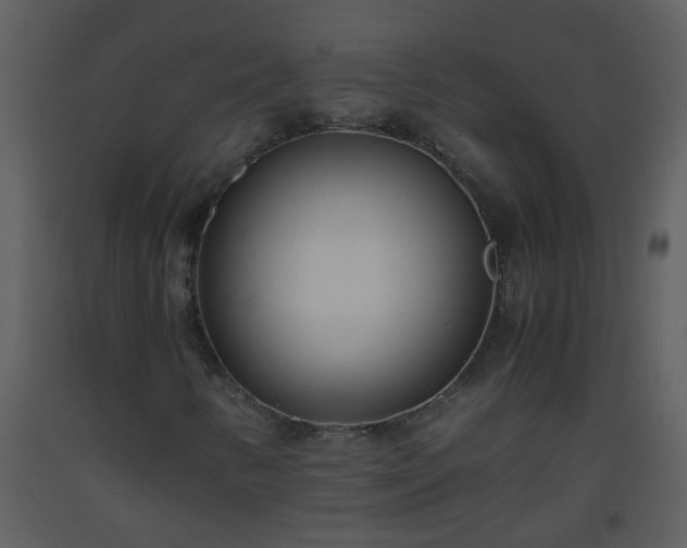 X0000093571346200710221435