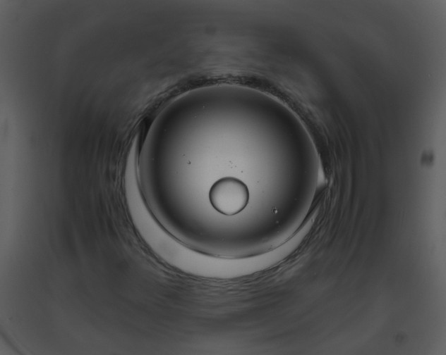 X0000093571348200710221435