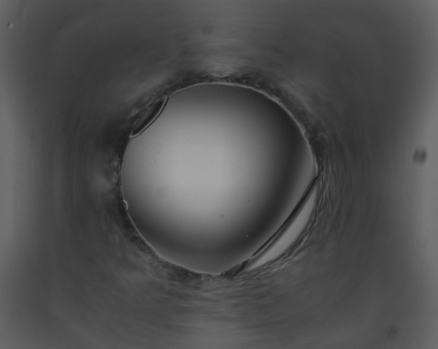 X0000093571349200710221435