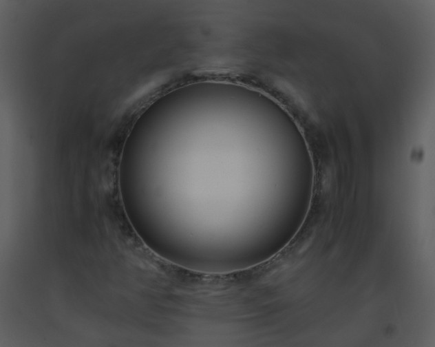 X0000093571350200710221435