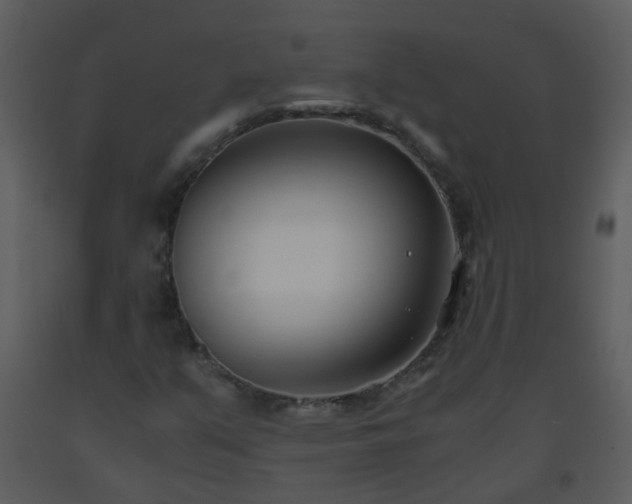 X0000093571351200710221435