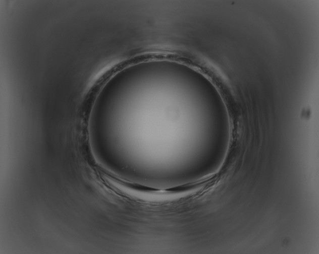 X0000093571352200710221435
