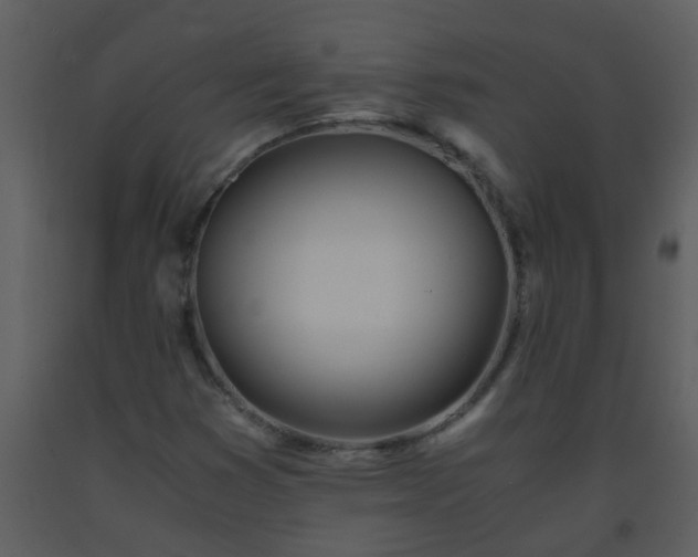 X0000093571353200710221435