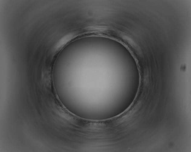 X0000093571354200710221434