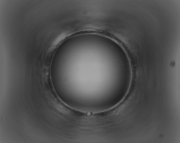 X0000093571355200710221434