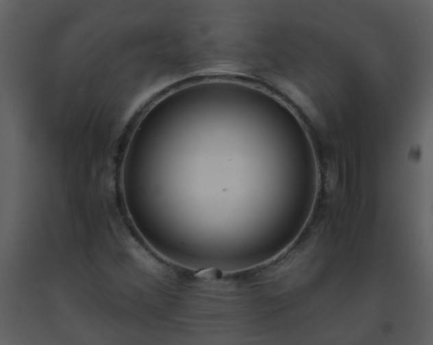 X0000093571356200710221434