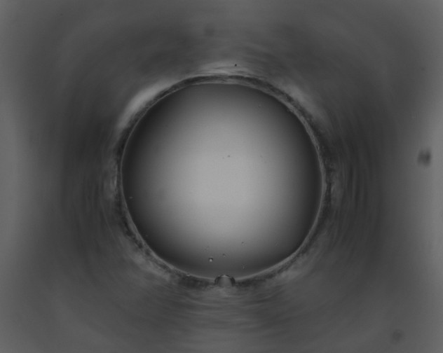 X0000093571358200710221434