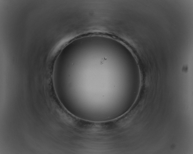 X0000093571359200710221434