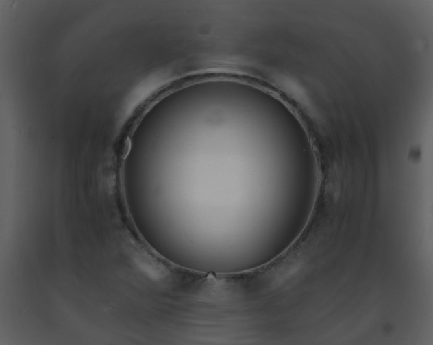 X0000093571360200710221434