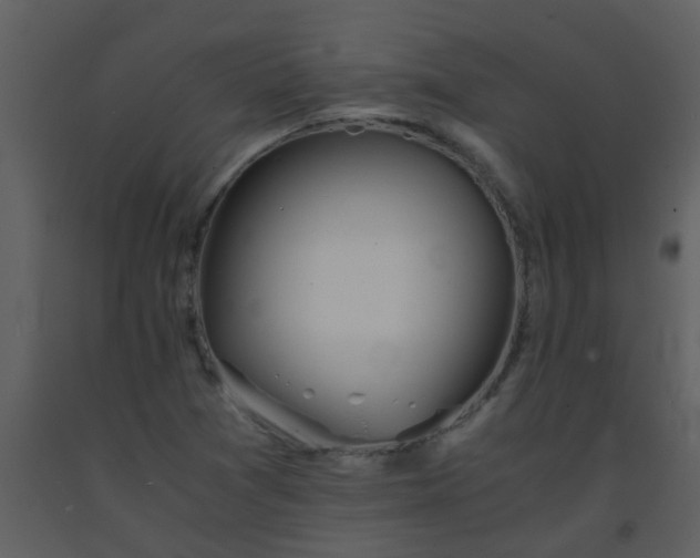 X0000093571361200710221434
