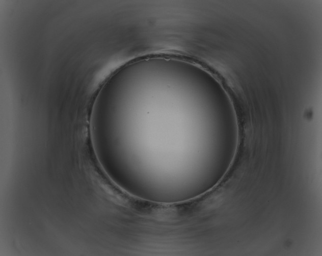X0000093571363200710221434
