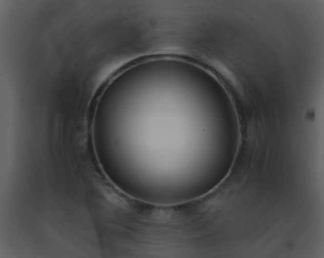 X0000093571364200710221434