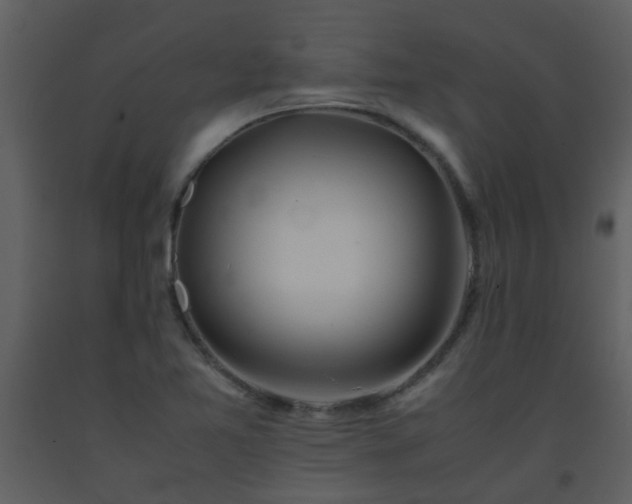 X0000093571365200710221434